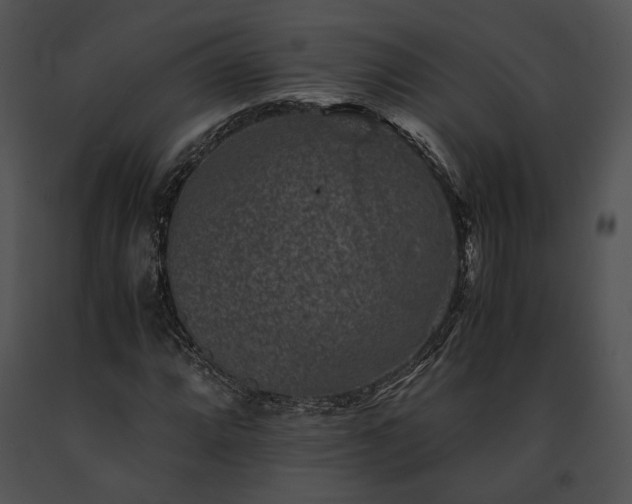X0000091651064200708301414