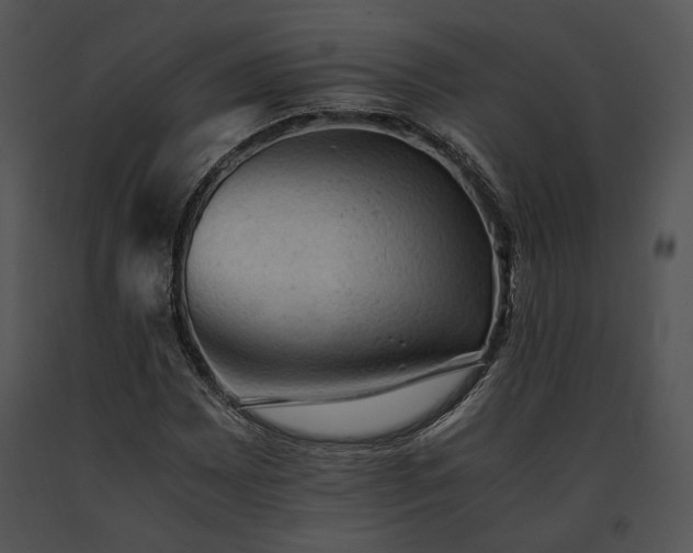 X0000091651065200708301414