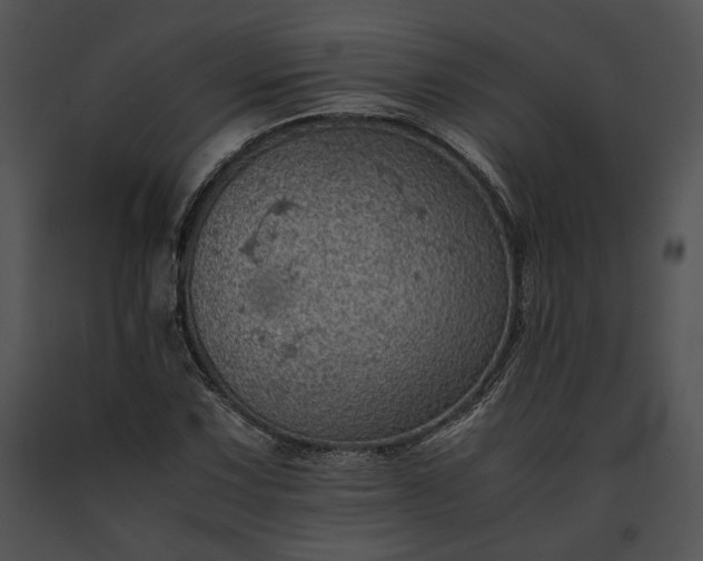 X0000091651067200708301414
