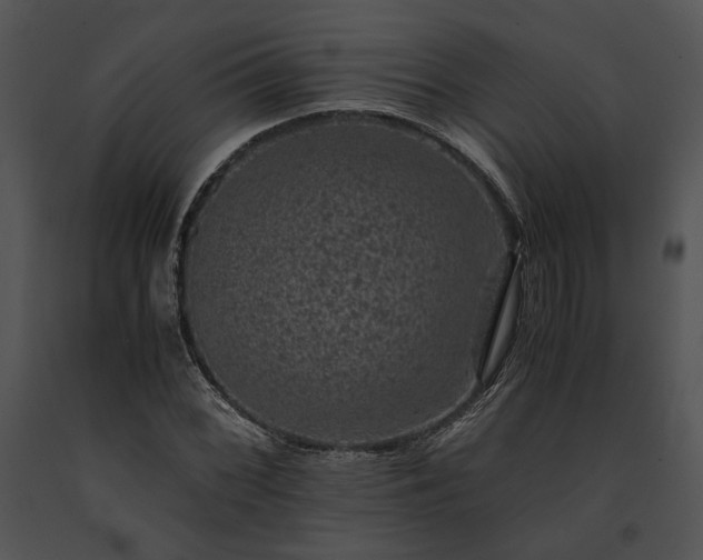 X0000091651068200708301414