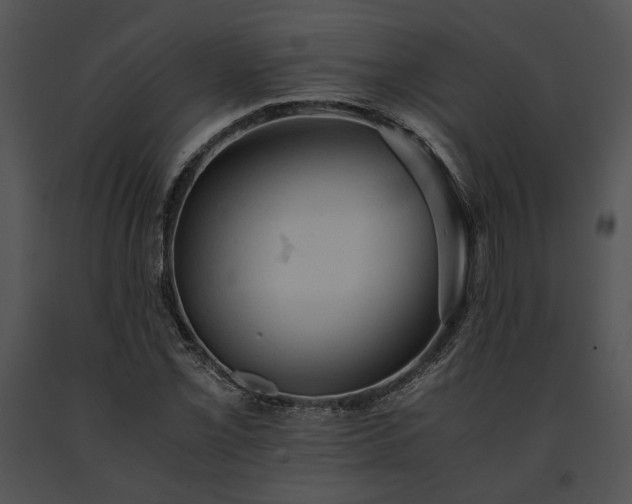 X0000091651069200708301414