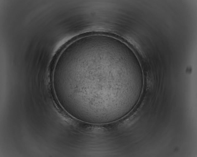 X0000091651070200708301414