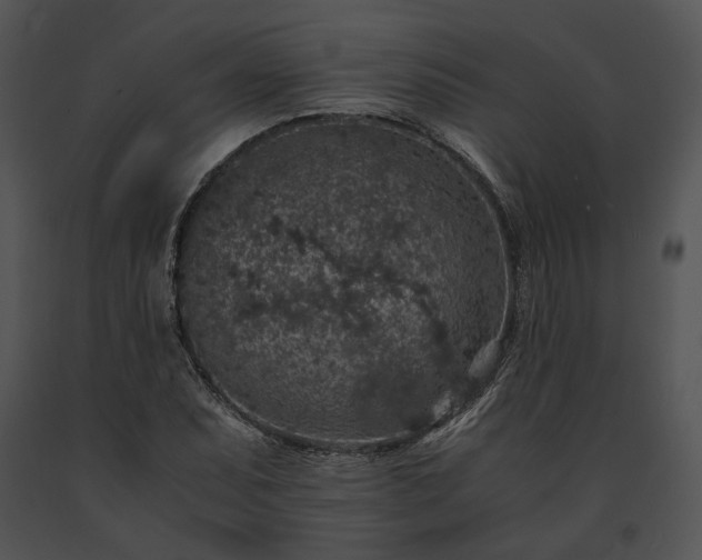 X0000091651071200708301414