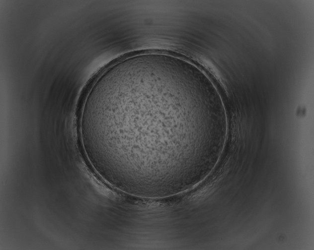 X0000091651072200708301414