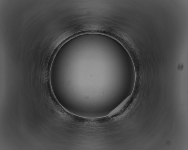 X0000091651073200708301414