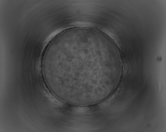 X0000091651074200708301414