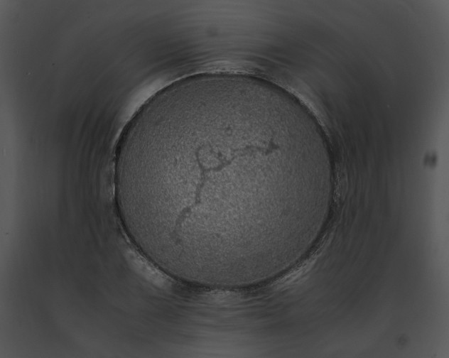 X0000091651075200708301414