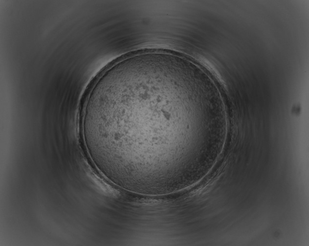 X0000091651076200708301414