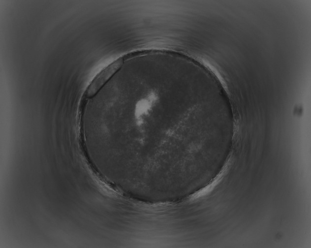 X0000091651077200708301414
