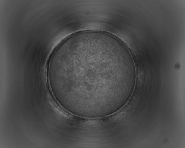 X0000091651078200708301414