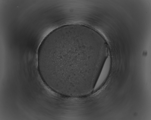 X0000091651079200708301414