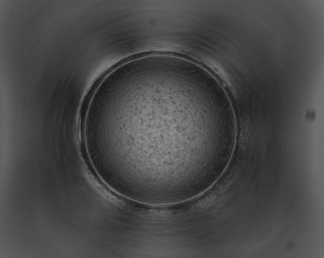 X0000091651080200708301414