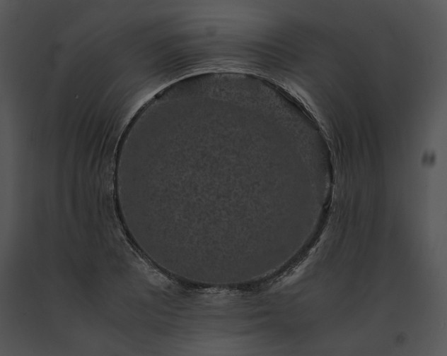 X0000091651081200708301414