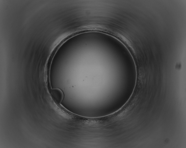 X0000091651082200708301414