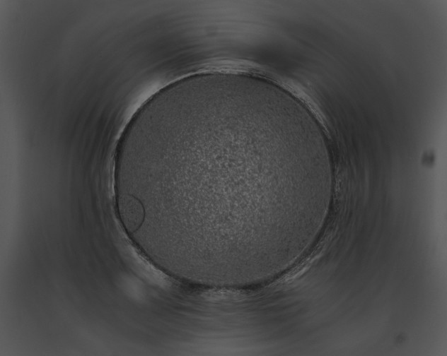 X0000091651083200708301414