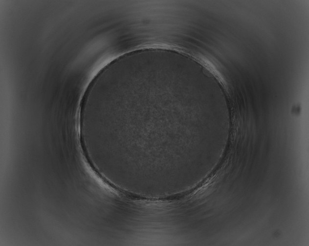 X0000091651084200708301414