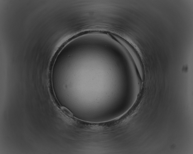 X0000091651085200708301414