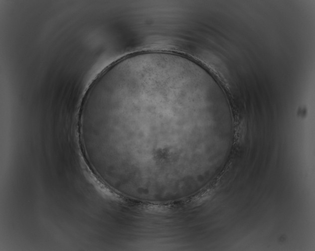 X0000091651086200708301414