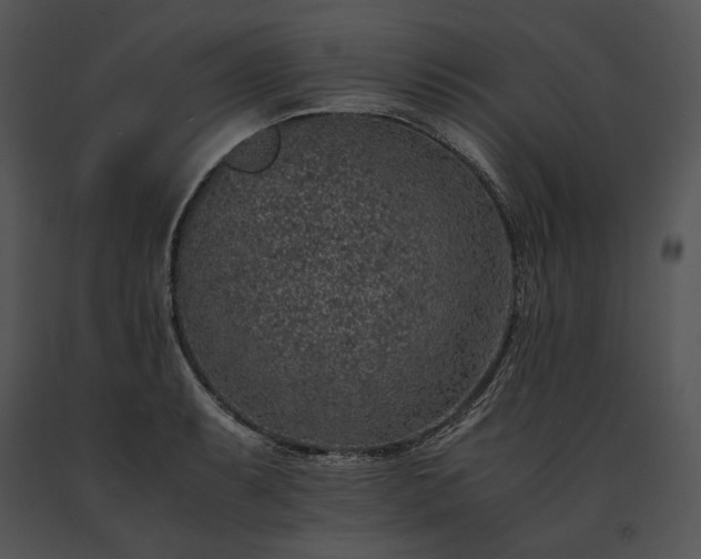 X0000091651087200708301414