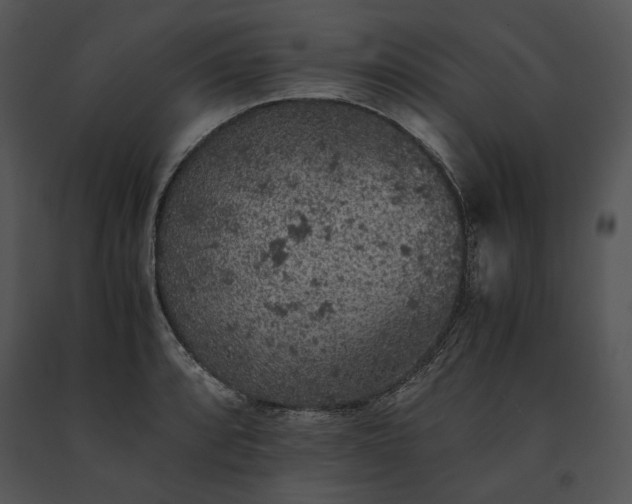 X0000091651088200708301414