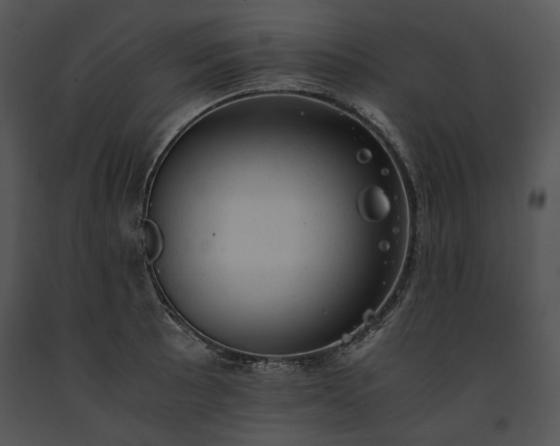 X0000091651089200708301414