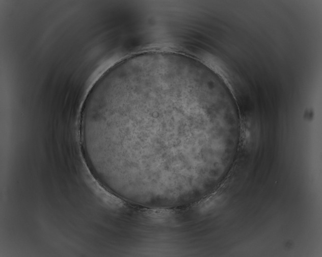 X0000091651090200708301414