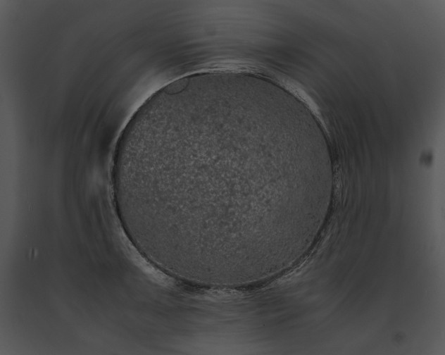 X0000091651091200708301414