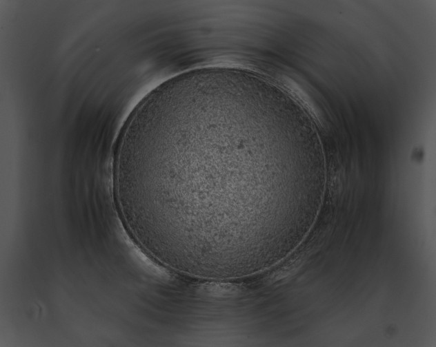 X0000091651092200708301414