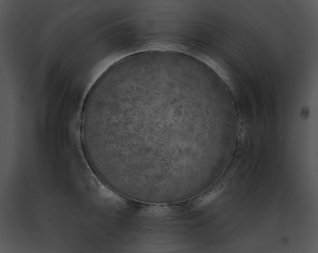 X0000091651094200708301414