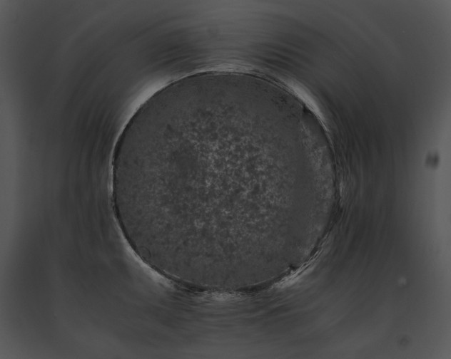 X0000091651095200708301414