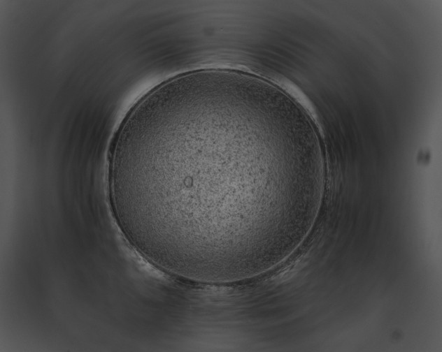 X0000091651096200708301414