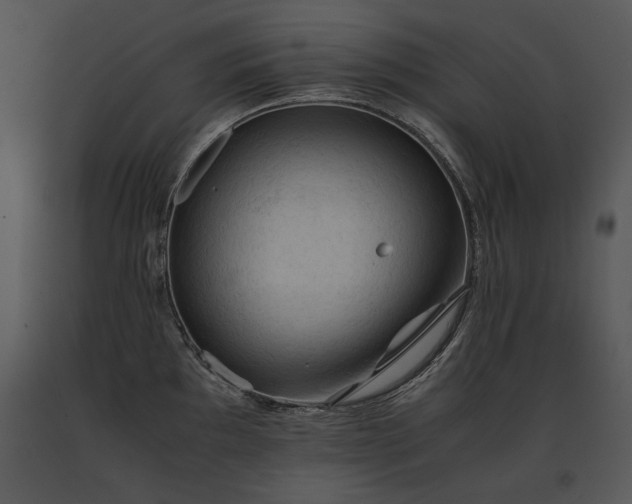 X0000091651097200708301414