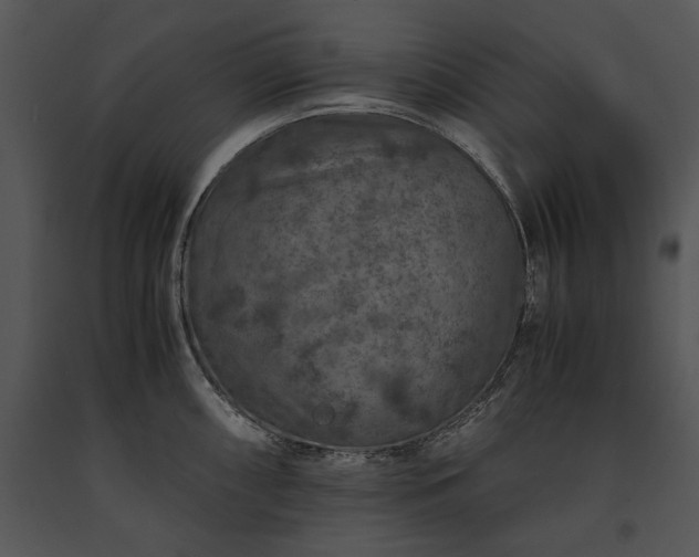 X0000091651098200708301414