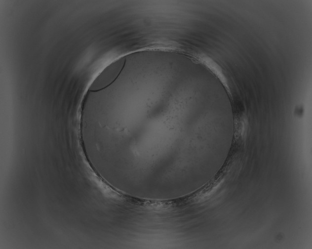 X0000091651099200708301414