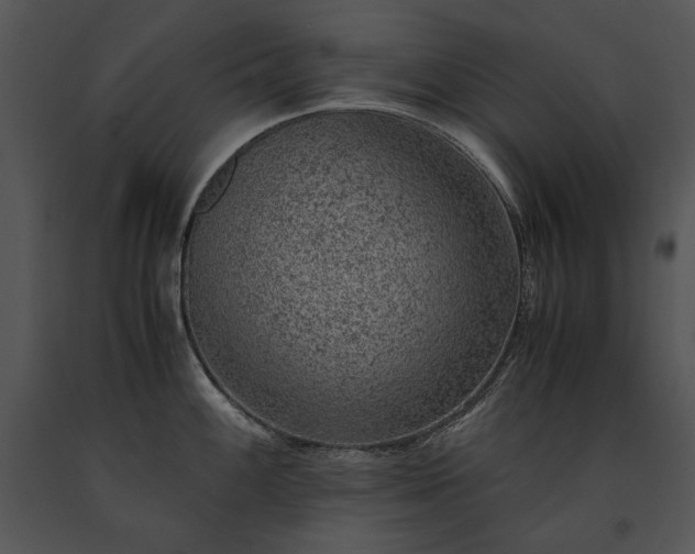 X0000091651100200708301414