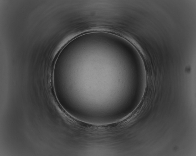 X0000091651101200708301414