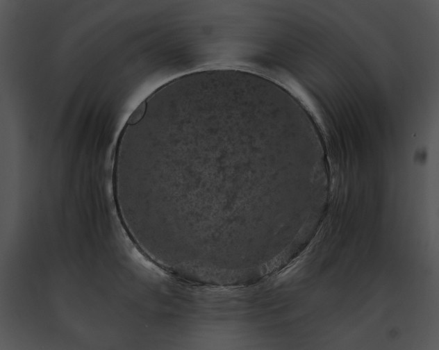 X0000091651102200708301414