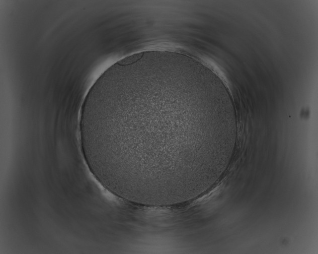 X0000091651103200708301414