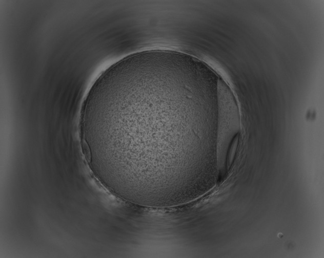 X0000091651104200708301414