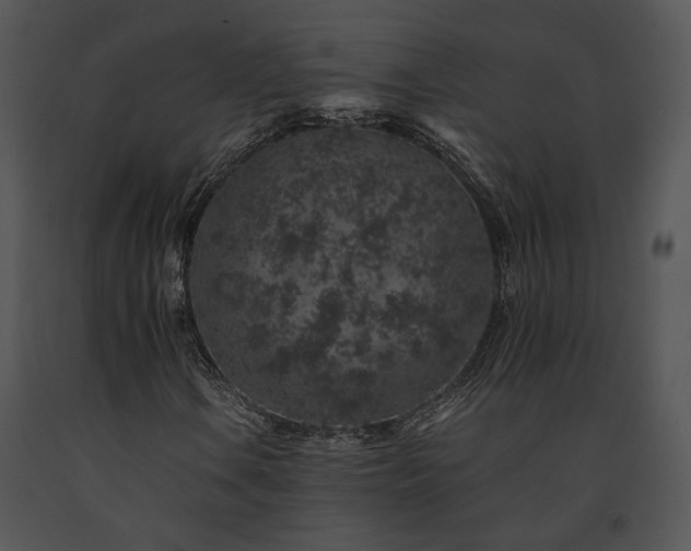 X0000091651106200708301413