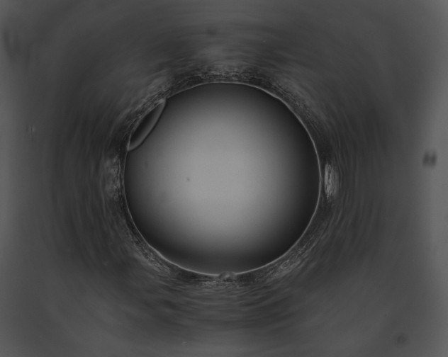 X0000091651107200708301413
