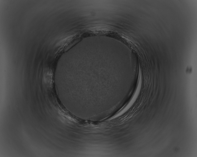 X0000091651108200708301413