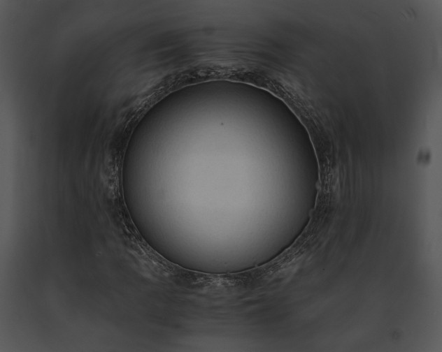 X0000091651109200708301413