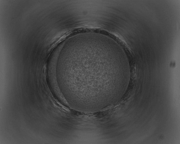 X0000091651110200708301413