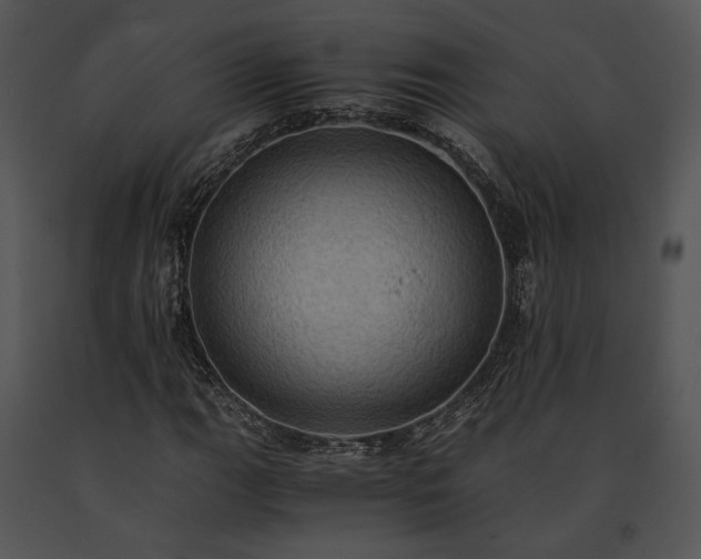 X0000091651111200708301413