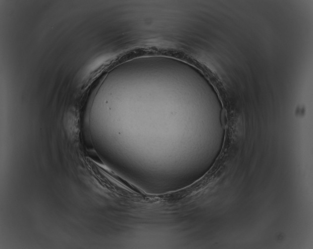 X0000091651112200708301413