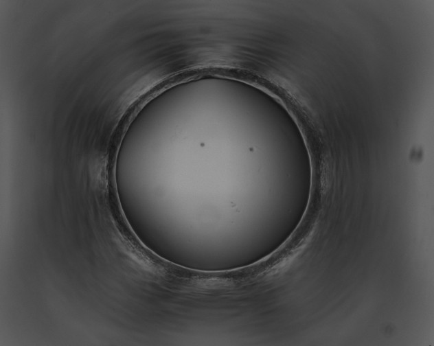 X0000091651113200708301413