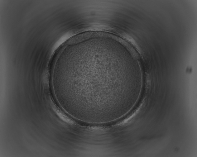 X0000091651114200708301413