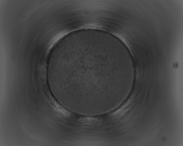 X0000091651115200708301413