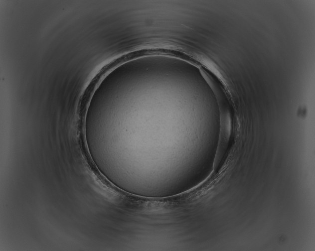 X0000091651116200708301413